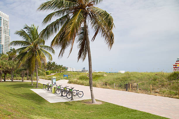 Biciclette in bike sharing lungo una pista ciclabile di Miami Beach